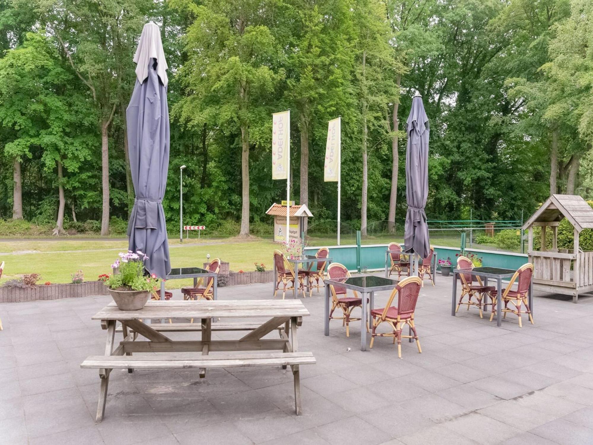 Beautiful Chalet In The Woods With A Shared Pool Vledder Kültér fotó